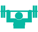 muscles
